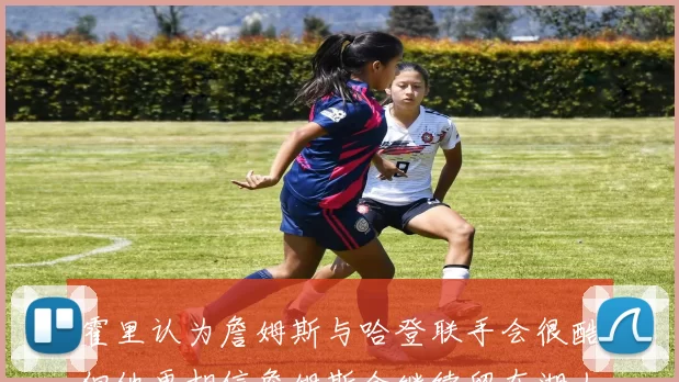 霍里认为詹姆斯与哈登联手会很酷但他更相信詹姆斯会继续留在湖人