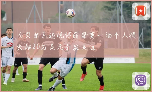 戈贝尔因违规停薪禁赛一场个人损失超20万美元引发关注