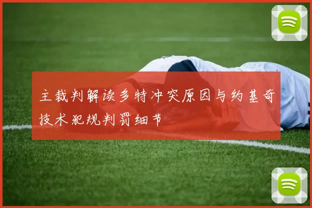 主裁判解读多特冲突原因与约基奇技术犯规判罚细节