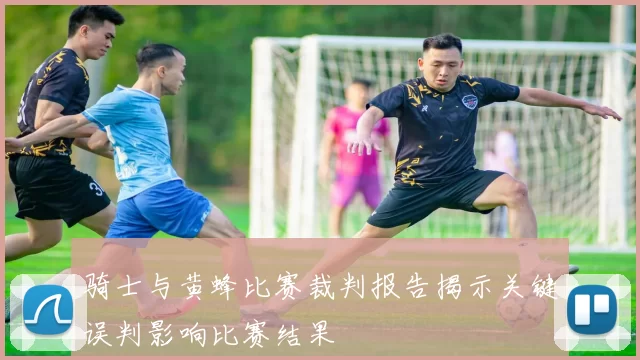 骑士与黄蜂比赛裁判报告揭示关键误判影响比赛结果